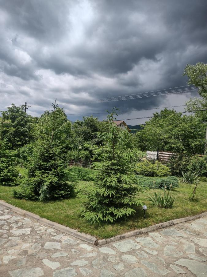 Pensiunea Codruta Cărpinişu Exterior foto