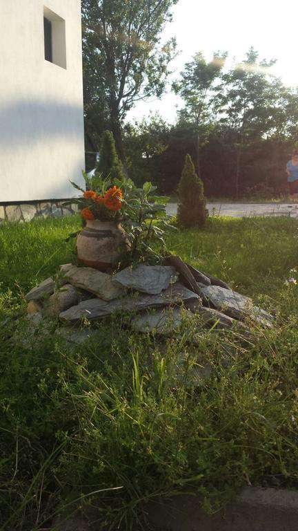 Pensiunea Codruta Cărpinişu Exterior foto