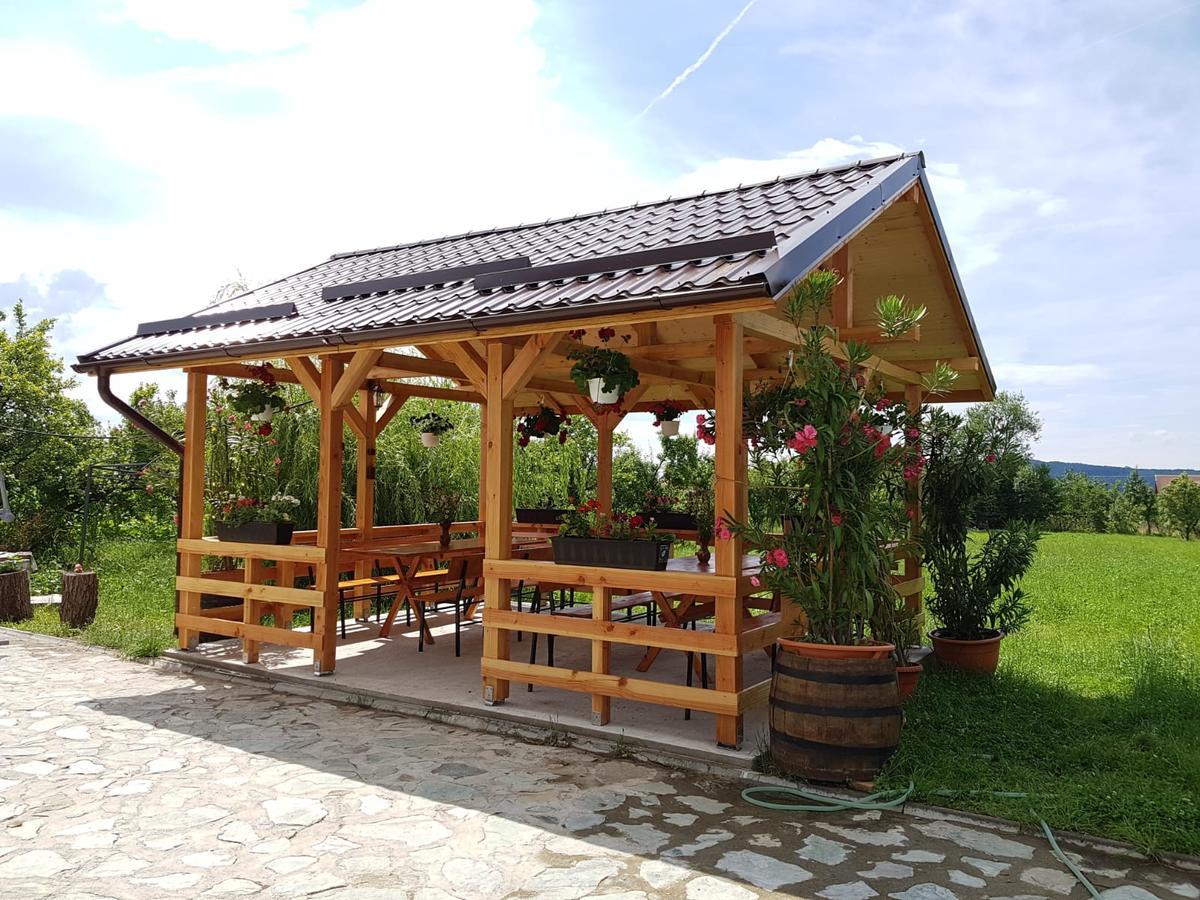 Pensiunea Codruta Cărpinişu Exterior foto